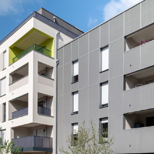 image bannière saint louis NEXITY